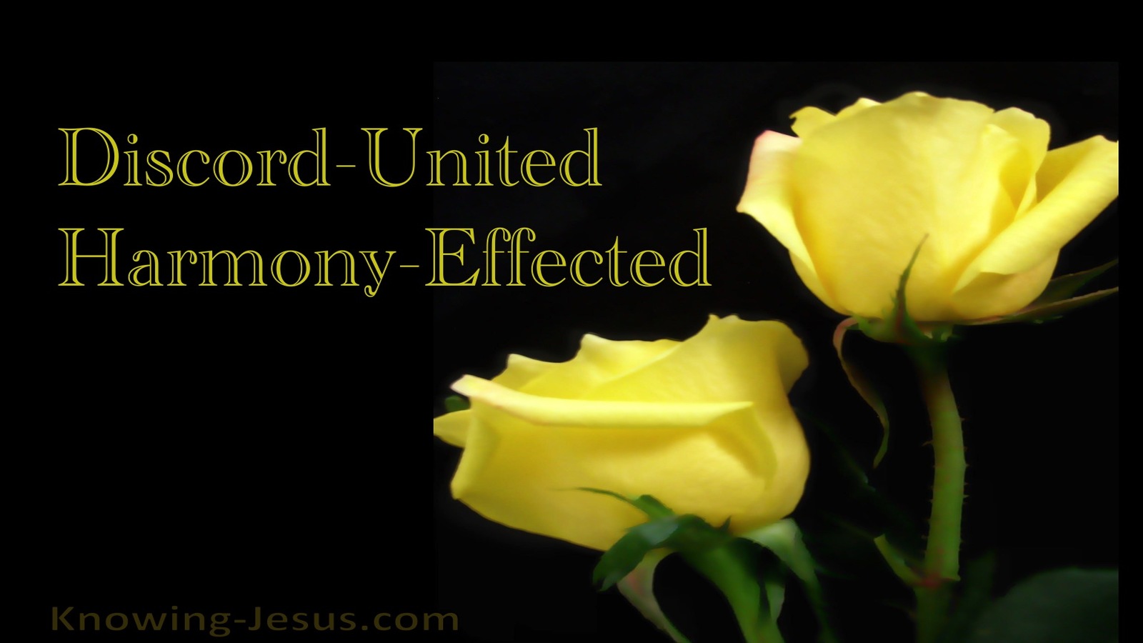 Discord United - Harmony Effected (devotional)07-27 (black)